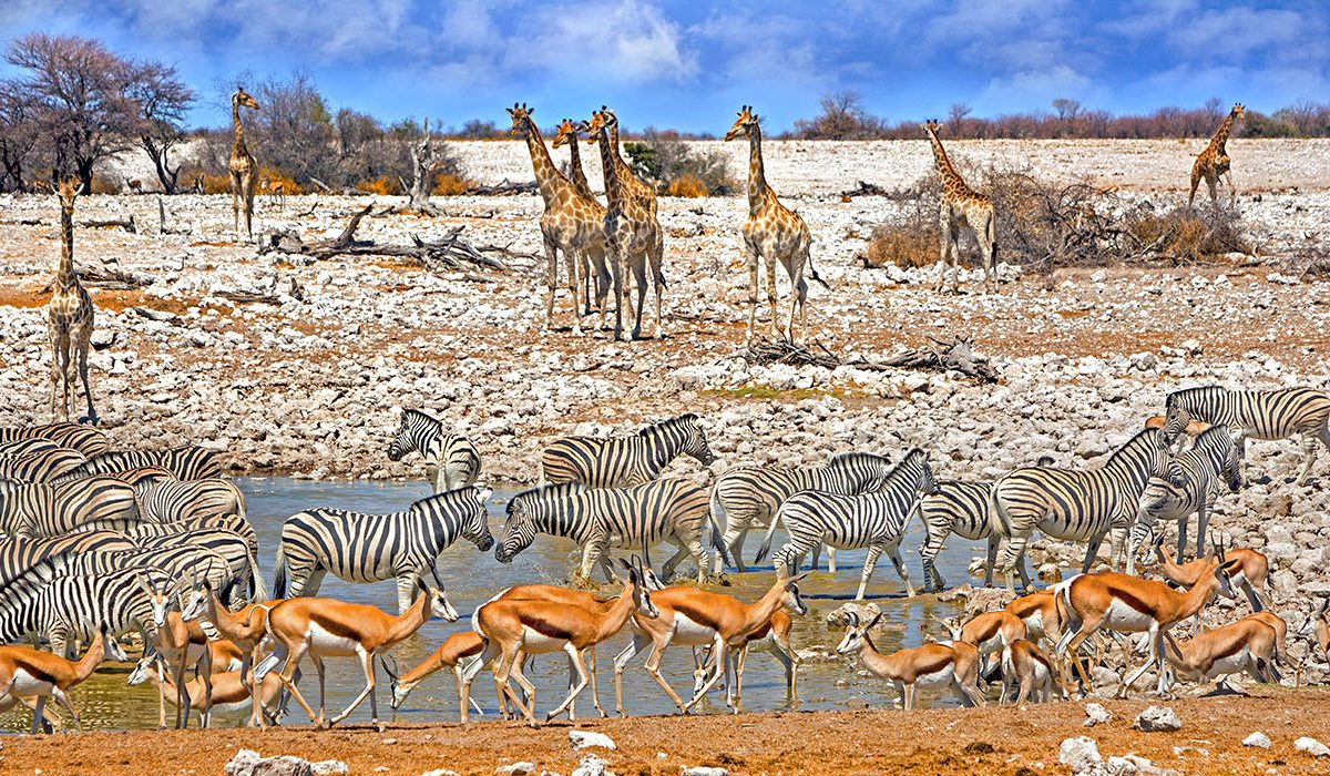 1-slide-namibia-botswana-zebra-antelope-giraffe-pano